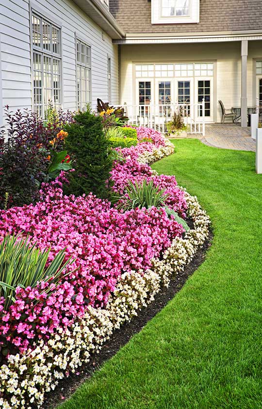 home landscape